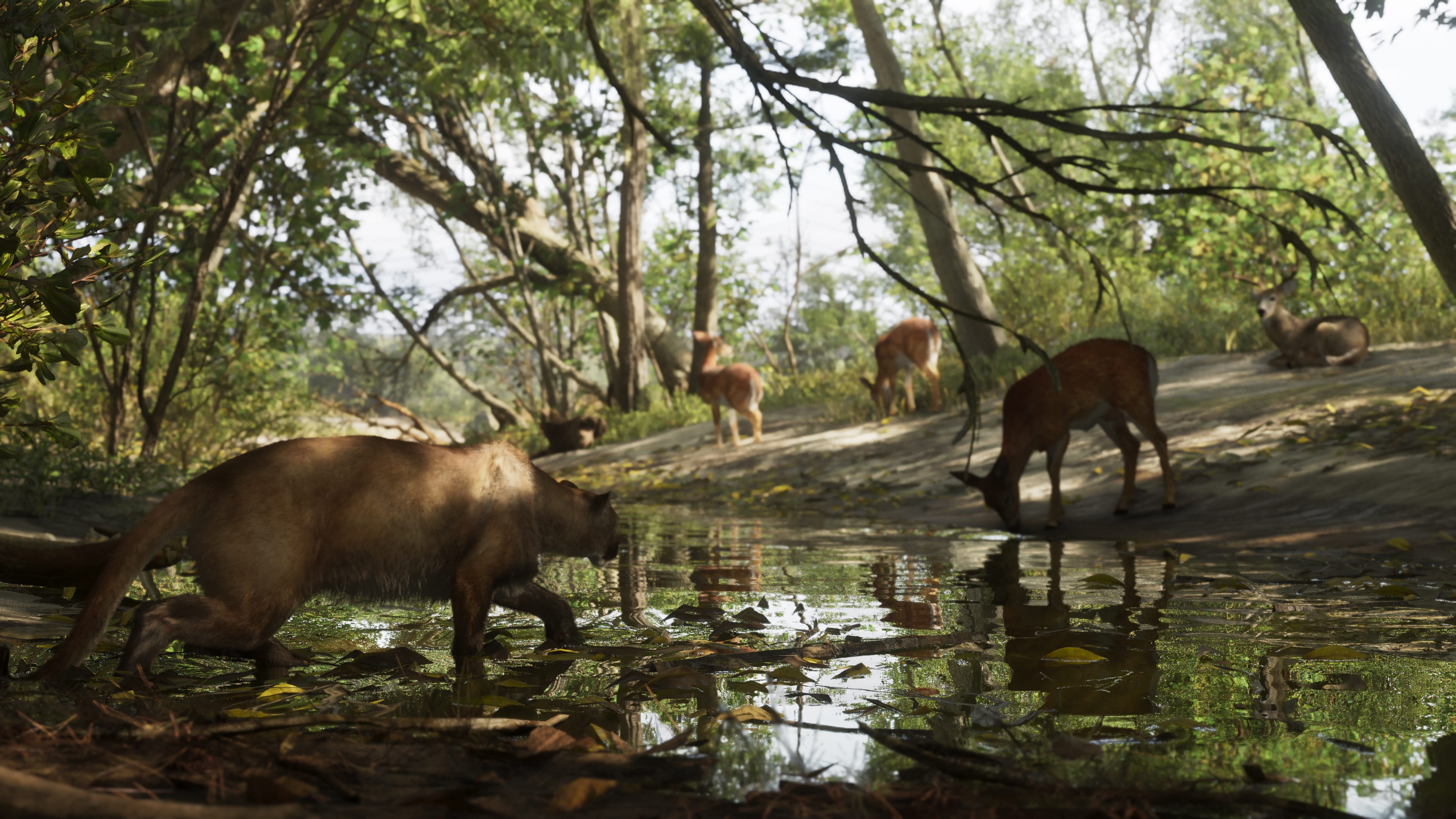 Mount Kalaga National Park — 3